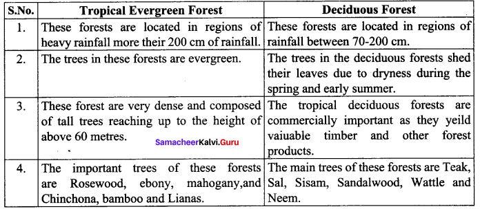 Climate And Natural Vegetation Of India Samacheer Kalvi 10th Social Science Geography Solutions Chapter 2