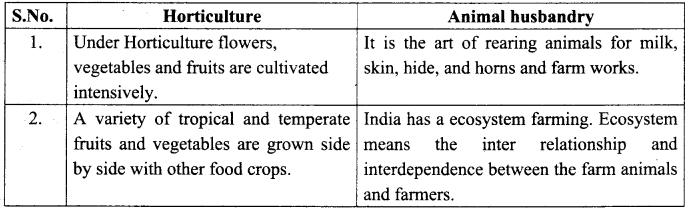 Samacheer Kalvi 10th Social Science Geography Solutions Chapter 3 Components of Agriculture 99