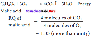 Samacheer Kalvi 11th Bio Botany Solutions Chapter 14 Respiration 11