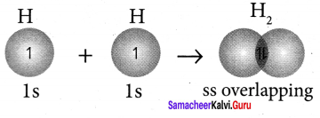 Samacheer Kalvi 11th Chemistry Solutions Chapter 10 Chemical Bonding-123