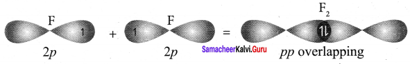 Samacheer Kalvi 11th Chemistry Solutions Chapter 10 Chemical Bonding-124
