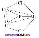 Samacheer Kalvi 11th Chemistry Solutions Chapter 10 Chemical Bonding-138