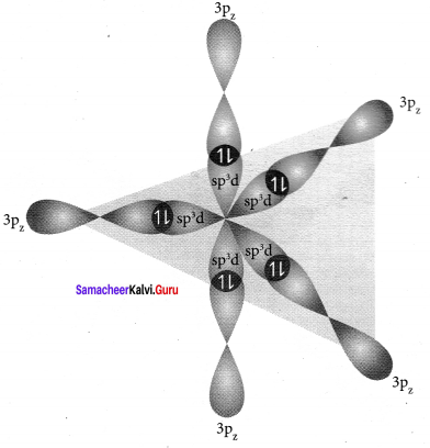 Samacheer Kalvi 11th Chemistry Solutions Chapter 10 Chemical Bonding-179