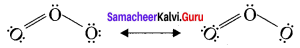 Samacheer Kalvi 11th Chemistry Solutions Chapter 10 Chemical Bonding-57