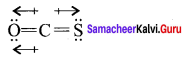 Samacheer Kalvi 11th Chemistry Solutions Chapter 10 Chemical Bonding-59