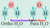 Samacheer Kalvi 11th Chemistry Solutions Chapter 4 Hydrogen