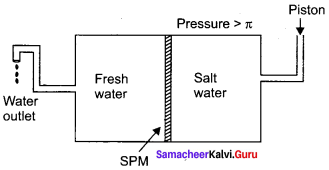 Samacheer Kalvi 11th Chemistry Solutions Chapter 9 Solutions-90
