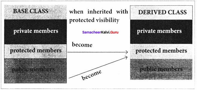 Samacheer Kalvi 11th Computer Science Solutions Chapter 16 Inheritance 10
