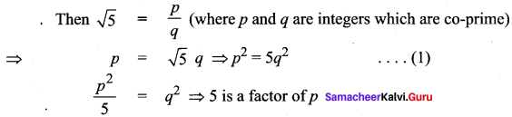 Samacheer Kalvi 11th Maths Solutions Chapter 2 Basic Algebra Ex 2.1 5