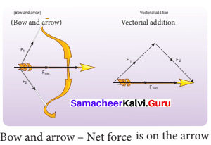 Samacheer Kalvi 11th Physics Solutions Chapter 3 Laws of Motion