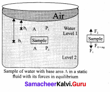 Samacheer Kalvi 11th Physics Solutions Chapter 7 Properties of Matter 555