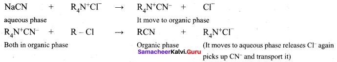 Samacheer Kalvi 12th Chemistry Solutions Chapter 10 Surface Chemistry-77
