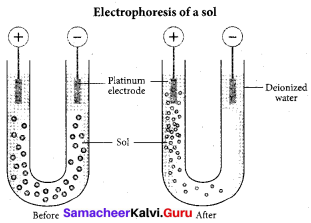 Samacheer Kalvi 12th Chemistry Solutions Chapter 10 Surface Chemistry-79