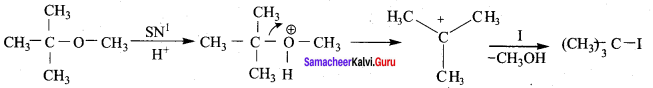 Samacheer Kalvi 12th Chemistry Solutions Chapter 11 Hydroxy Compounds and Ethers-22