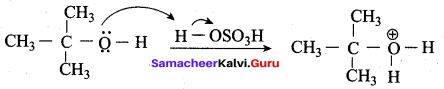 Samacheer Kalvi 12th Chemistry Solutions Chapter 11 Hydroxy Compounds and Ethers-239