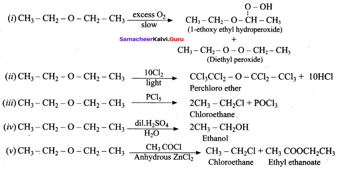 Samacheer Kalvi 12th Chemistry Solutions Chapter 11 Hydroxy Compounds and Ethers-252