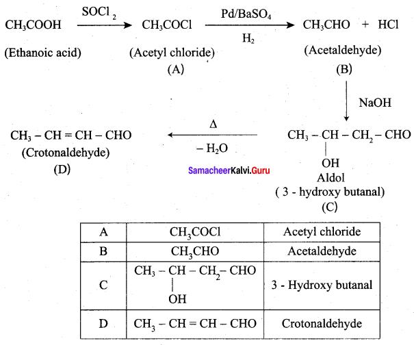 Samacheer Kalvi 12th Chemistry Solutions Chapter 12 Carbonyl Compounds and Carboxylic Acids-50