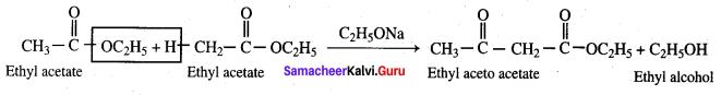 Samacheer Kalvi 12th Chemistry Solutions Chapter 12 Carbonyl Compounds and Carboxylic Acids-249