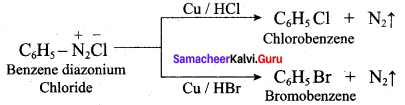 Samacheer Kalvi 12th Chemistry Solutions Chapter 13 Organic Nitrogen Compounds-284