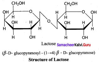 Samacheer Kalvi 12th Chemistry Solutions Chapter 14 Biomolecules-50
