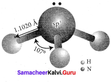 Samacheer Kalvi 12th Chemistry Solutions Chapter 3 p-Block Elements - II img-36