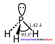 Samacheer Kalvi 12th Chemistry Solutions Chapter 3 p-Block Elements - II img-20