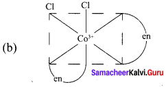 12th Chemistry Evaluate Yourself Answers Samacheer Kalvi Chapter 5 Coordination Chemistry