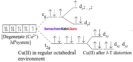 Samacheer Kalvi 12th Chemistry Solutions Chapter 5 Coordination Chemistry-6