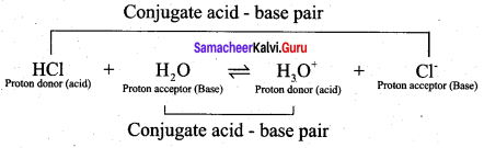 Samacheer Kalvi 12th Chemistry Solutions Chapter 8 Ionic Equilibrium-25