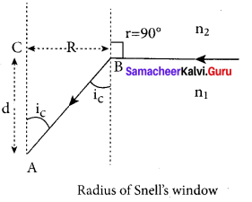 Samacheer Kalvi 12th Physics Solutions Chapter 6 Optics-16