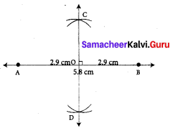 Samacheer Kalvi 7th Maths Solutions Term 1 Chapter 5 Geometry Ex 5.3 56