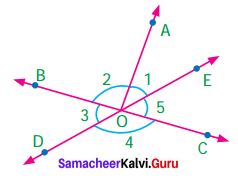Samacheer Kalvi 7th Maths Solutions Term 1 Chapter 5 Geometry Ex 5.6 10