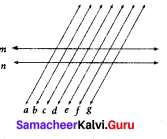 Samacheer Kalvi 7th Maths Solutions Term 1 Chapter 5 Geometry Intext Questions 24
