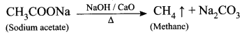 Samacheer Kalvi 10th Science Solutions Chapter 11 Carbon and its Compounds 18