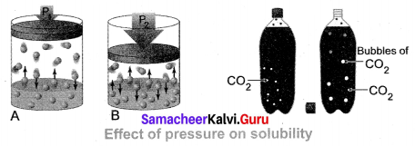 Samacheer Kalvi 10th Science Solutions Chapter 9 Solutions