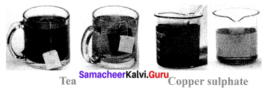 10th Samacheer Kalvi Science Solutions Chapter 9 Solutions