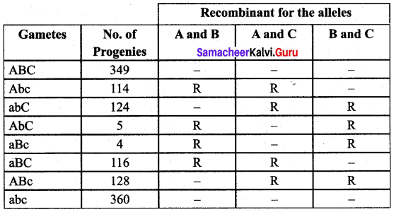 Samacheer Kalvi 12th Bio Botany Solutions Chapter 3 Chromosomal Basis of Inheritance img 5