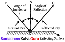 Light That Hits A Mirror Gets Samacheer Kalvi 7th Science Solutions Term 3