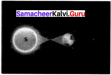 Samacheer Kalvi 7th Science Solutions Term 3 Chapter 1 Light image - 21