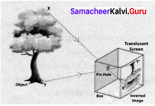 Light Samacheer Kalvi 7th Science Solutions Term 3 Chapter 1 