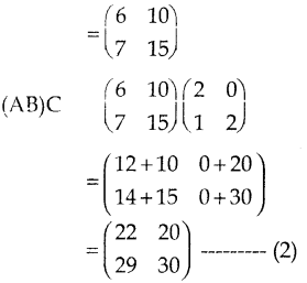 Samacheer Kalvi 10th Maths Guide Chapter 3 இயற்கணிதம் Ex 3.19 10