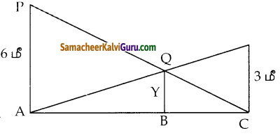 Samacheer Kalvi 10th Maths Guide Chapter 4 வடிவியல் Ex 4.1 14