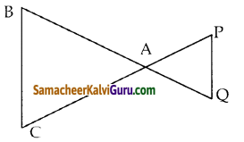 Samacheer Kalvi 10th Maths Guide Chapter 4 வடிவியல் Ex 4.1 9