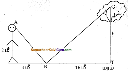 Samacheer Kalvi 10th Maths Guide Chapter 4 வடிவியல் Unit Exercise 4 11