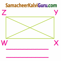 Samacheer Kalvi 4th Maths Guide Term 1 Chapter 1 வடிவியல் Ex 1.1a 11