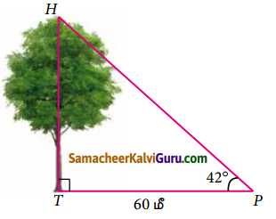 Samacheer Kalvi 9th Maths Guide Chapter 6 முக்கோணவியல் Ex 6.5 1