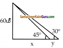 Samacheer Kalvi 10th Maths Guide Chapter 6 முக்கோணவியல் Ex 6.5 5