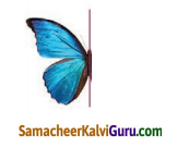 Samacheer Kalvi 4th Maths Guide Term 2 Chapter 1 வடிவியல் Intext Questions 5