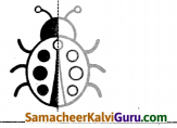 Samacheer Kalvi 4th Maths Guide Term 2 Chapter 1 வடிவியல் Intext Questions 8
