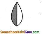 Samacheer Kalvi 4th Maths Guide Term 3 Chapter 6 பின்னங்கள் Ex 6.1 2